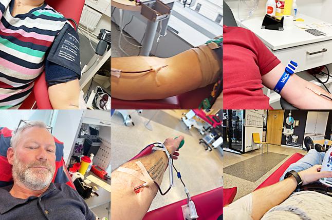 Ett bildkollage som visar armar på människor som ger blod