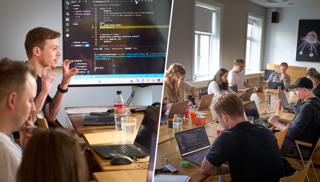 Bildkollage som visar föreläsare och deltagar vid utbildning i Python